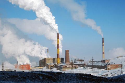 "Норникель" за биотехнологии Норникель
